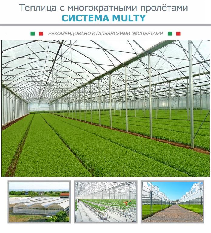 sistema_multy_123