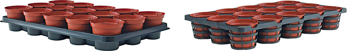 trays
